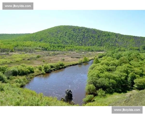 草原与天空的对决老鹰与狼谁才是真正王者生存智慧力量速度意志终极较量